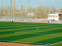 人工草皮足球场,足球场草坪施工,足球场工程承建